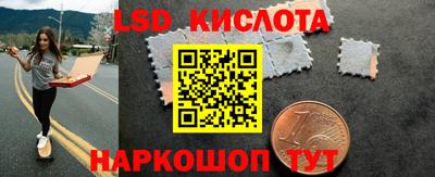 прущие грибы Рыбинск
